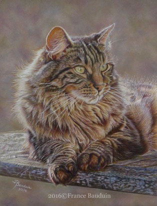 Late Afternoon Watch - 45 hours
Brown Pastelmat board
16" x 12.5"
Our Griffin again born in 2012